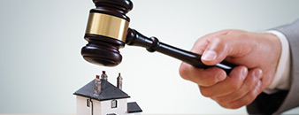 Litigation Support Services